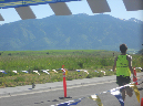 DSCN1272